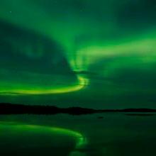 Photo of Northern Lights and Wildlife of Northern Manitoba 