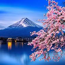 Photo of Blossoming Japan ~ Tokyo to Tokyo 